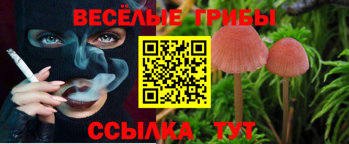 Псилоцибиновые грибы Magic Shrooms Электросталь