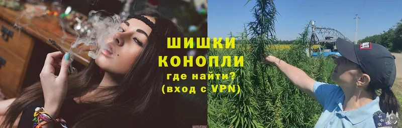 MEGA   Электросталь  Конопля THC 21%  хочу  